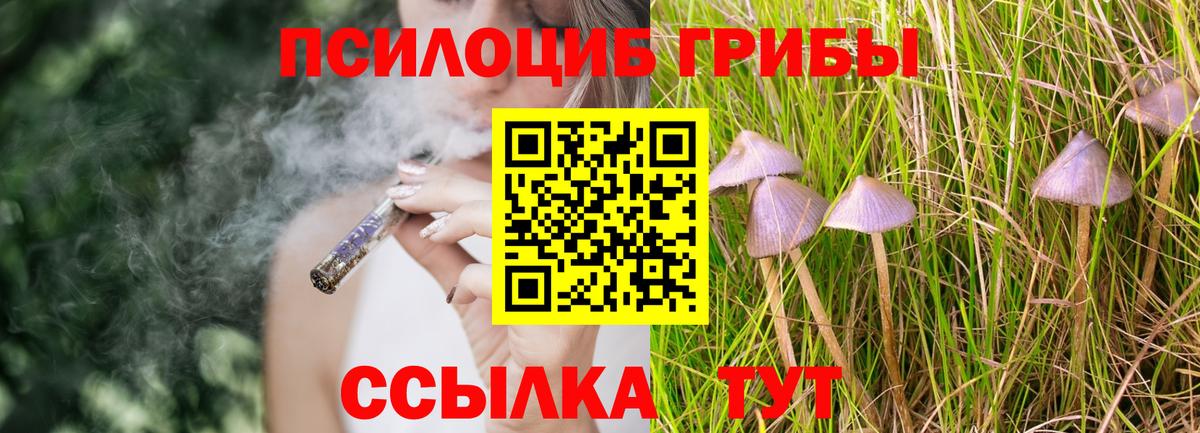 Псилоцибиновые грибы мицелий  Вход с VPN  Псилоцибиновые грибы MAGIC MUSHROOMS  Луховицы 